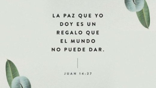 Versículo – Juan 14 : 27