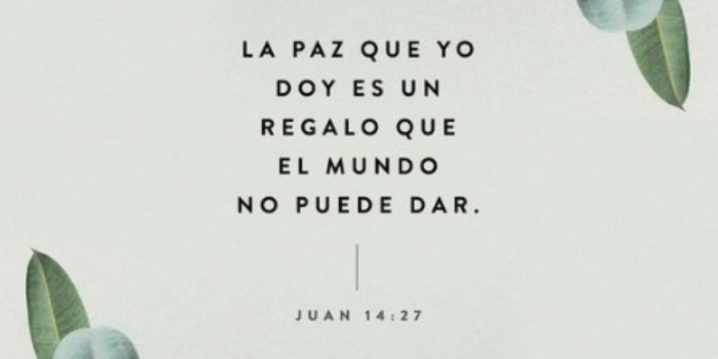 Versículo – Juan 14 : 27