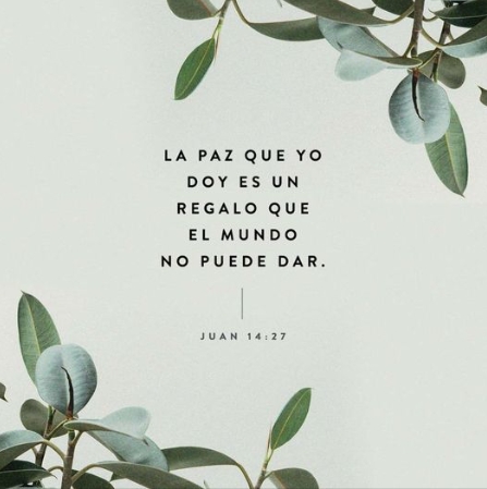 Versículo – Juan 14 : 27