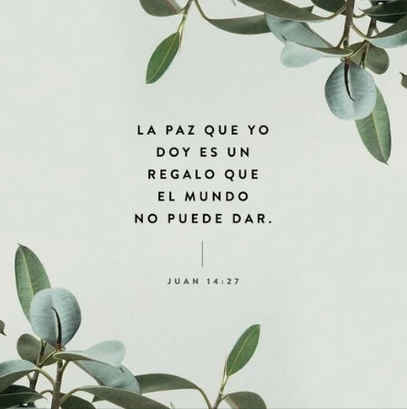 Versículo – Juan 14 : 27