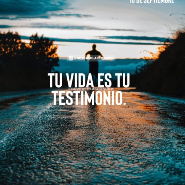 Disciplina y Optimismo – Tu vida es tu testimonio